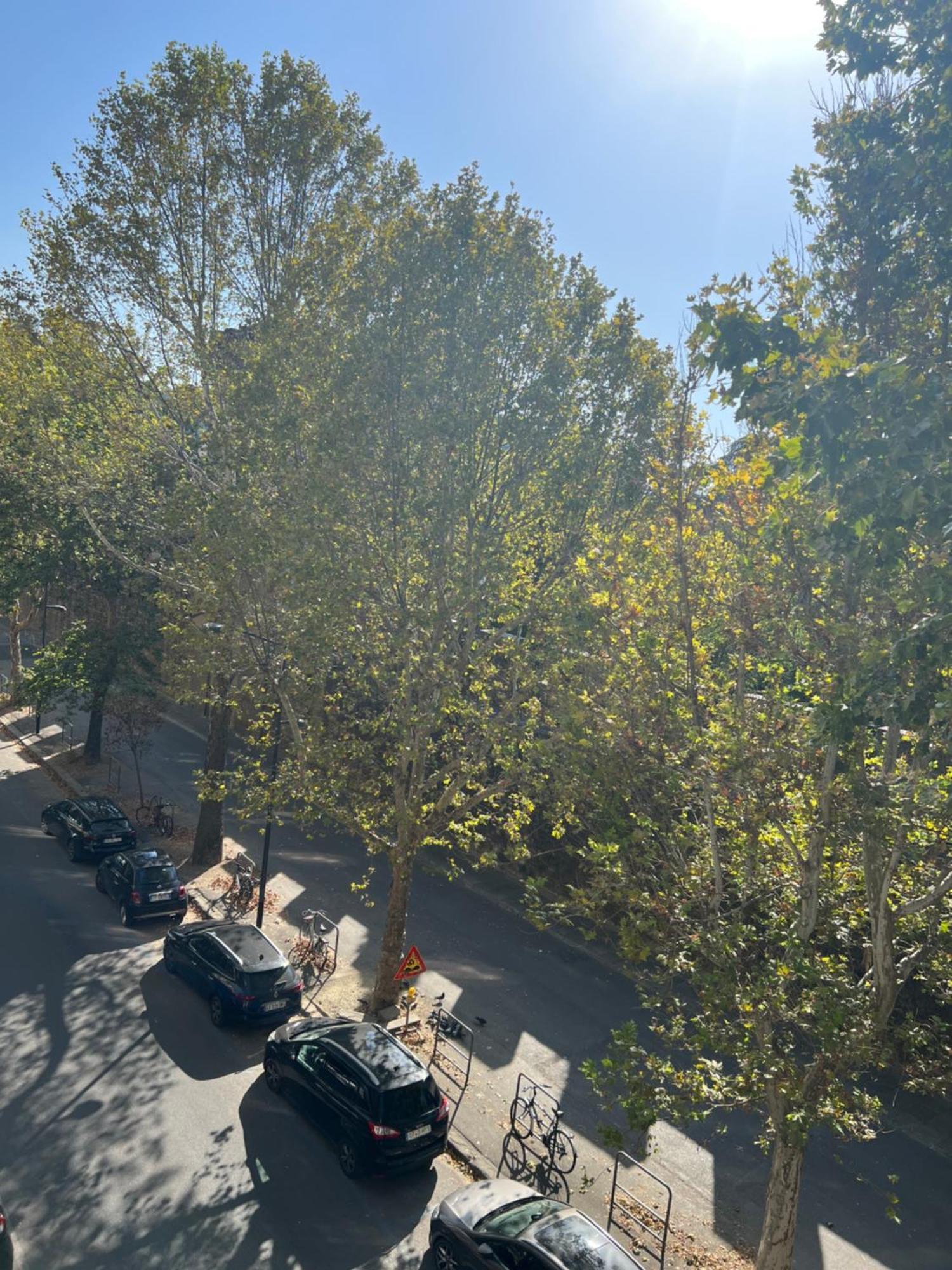 Santa Rosa Florence Apartments 3 Bedrooms - Private Parking Buitenkant foto